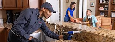 Reliable Dunn Loring, VA Pest Control Solutions